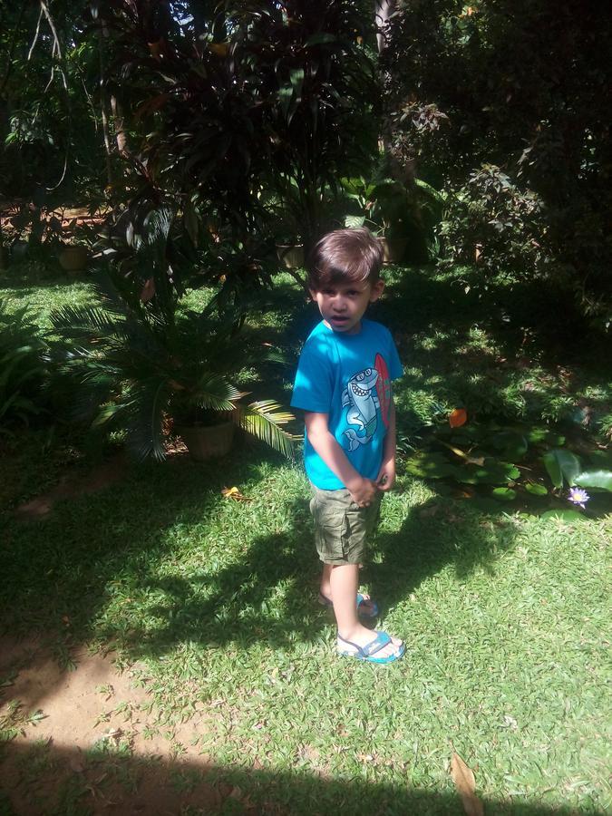 Dambulla Green Villa Buitenkant foto